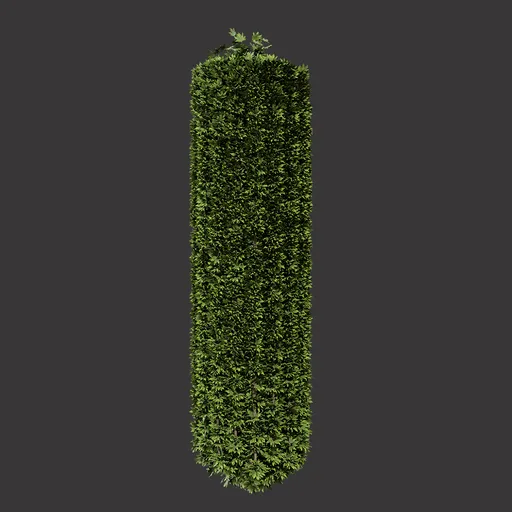 Vertical Decorative Hedge