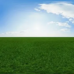 Green grass cloudy blue sky pure sky