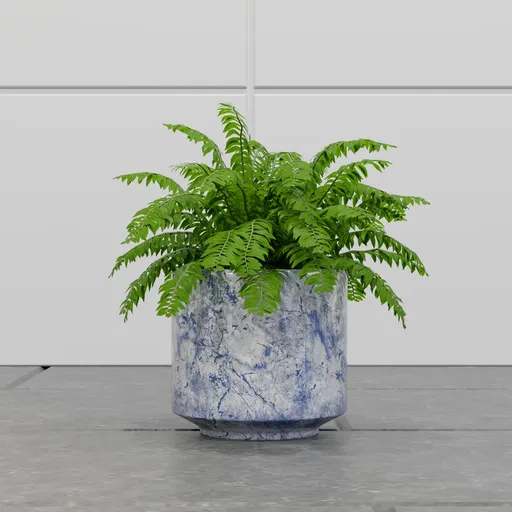 Emerald Fern