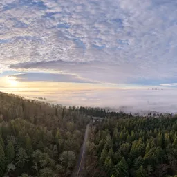 Foggy City Sunrise Sky