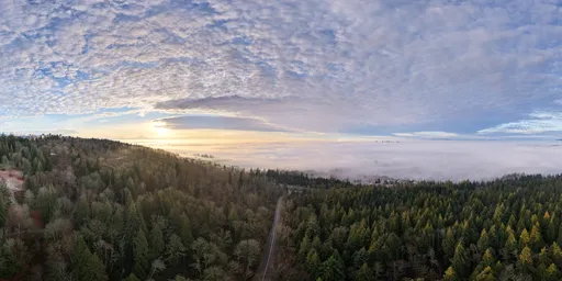Foggy City Sunrise Sky