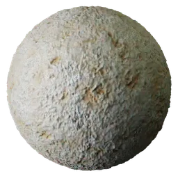 Pumice Stone
