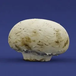 Detailed white mushroom 3D model, perfect for visuals and kitchen decor designs, rendered in Blender.