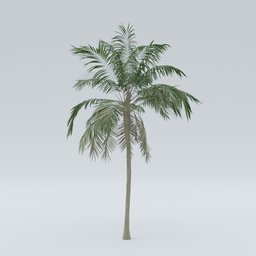 Detailed 3D palm tree model with realistic textures suitable for Blender rendering and CGI projects.