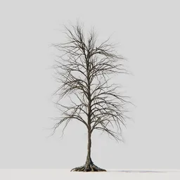 Realistic bare tree 3D model with intricate branches and visible roots, compatible with Blender.