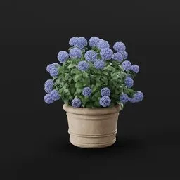 Blue Hydrangea Pot
