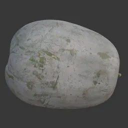 Winter Melon