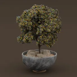 Tree in stone planter