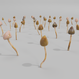 49 magic mushrooms