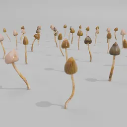 "49 psilocybin mushrooms in various shapes and sizes in a 3D model, ideal for use in Blender 3D. Rendered in an animation style inspired by Altichiero with a group of mushrooms standing in a wet reflective field. Perfect for nature and outdoor themed projects."