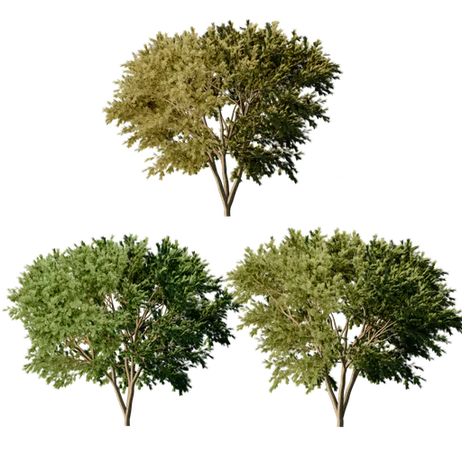 Fake Trees