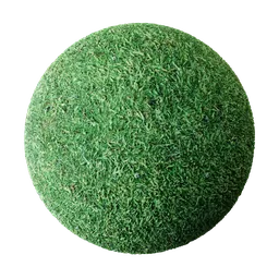 High-detail PBR garden grass material for 3D rendering in Blender, realistic texture with displacement.