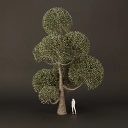 SJ-Ornamental Tree Float Space