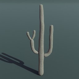 Plant Cactus Saguaro Dry Medium