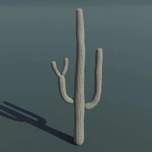 Plant Cactus Saguaro Dry Medium