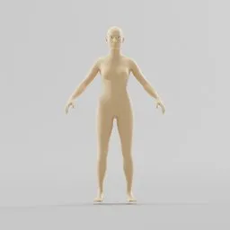 Female body reference