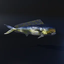 "Rigged Mediterranean Fish 3D Model for Blender 3D - Llampuga (Male Mahi-Mahi) with Tamed Colors and Simple Rig. Perfect for VFX and Animation with Metallic Surfaces and Blue Eye."
