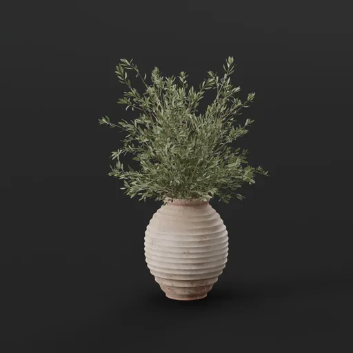 Olive Branch