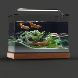 Detailed Blender 3D model of a 50cm home aquarium with fish, plants, rocks, and a wooden base.