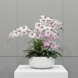 Elegant Pink Orchid Arrangement