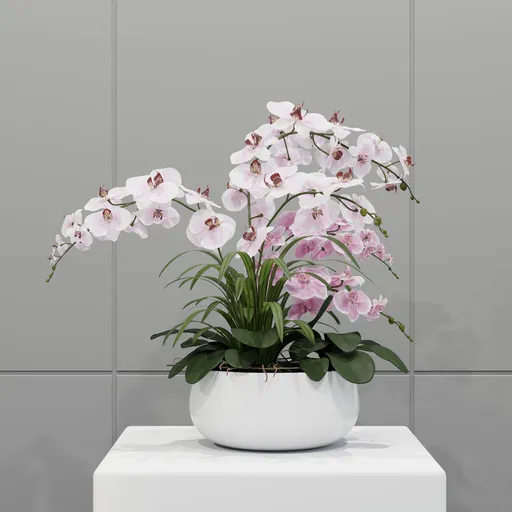 Elegant Pink Orchid Arrangement