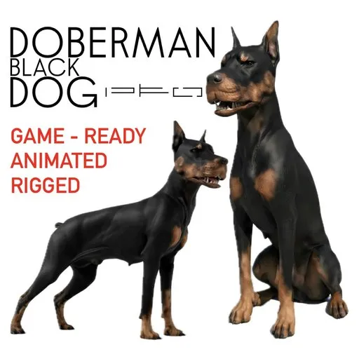 Black Doberman Dog