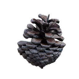 "Highly detailed Pinecone 3D model for Blender 3D. Scanned with 1k textures and inspired by Paul Kelpe, this solid object sits on a table. Perfect for creating realistic tree scenes in your projects."
