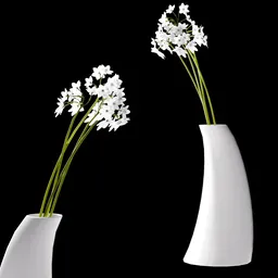 Paperwhite Narcissus in Ceramic Vase