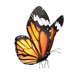 Butterfly-Rigged