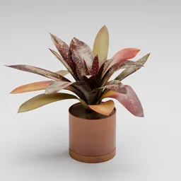 Red Tropical Potted Plant