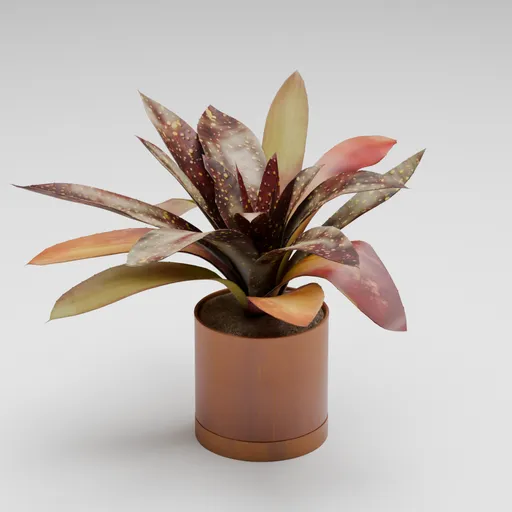 Red Tropical Potted Plant
