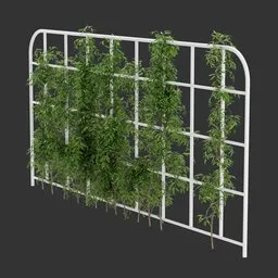 Grid Ivy Simple Plant