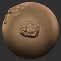 Dragon Skin Single Rounded Bump