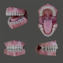 Human Mouth Cavity