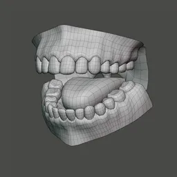 Human Mouth Cavity