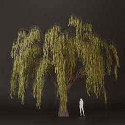 SJ-Breathing Forest Muse