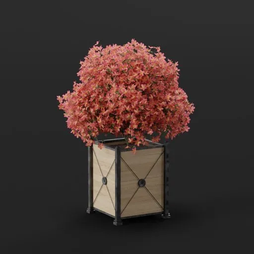 Pink Flower Tree