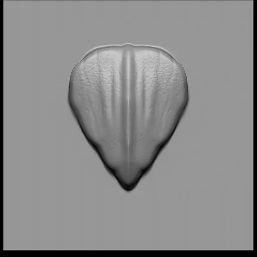 Blender 3D sculpting brush for aquatic creature detailing, simulating fish scales and textures.