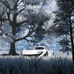 Winter Frost Forest with Car animation