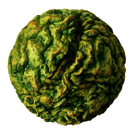 Toxic Slime Crust