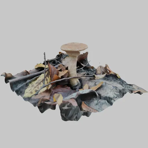 Mushroom with forest floor