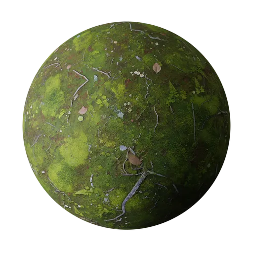 Forest Floor Moss