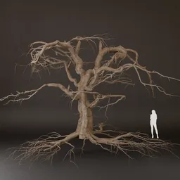SJ Rooted Dry Tree Model