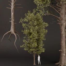 SJ-Moonlit Pine Guardian