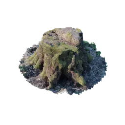 Highly detailed Blender 3D model of a mossy tree stump, perfect for nature scenes.