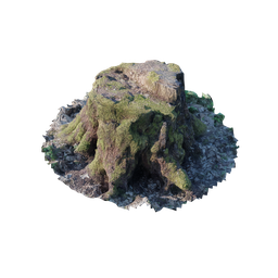 "3D scan of a detailed and realistic tree stump model created in Blender 3D software. Perfect for nature scenes and adding a touch of realism to your projects."