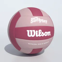 Volleyball Ball Wilson