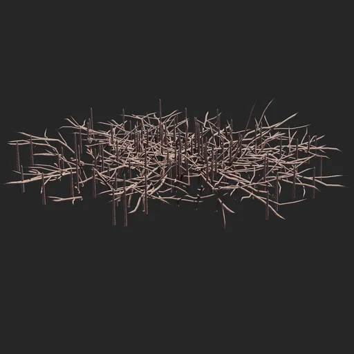 Mangrove tree roots