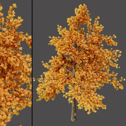 Autumn Maple Style Tree