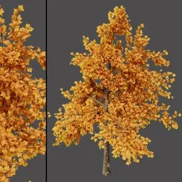 Autumn Maple Style Tree